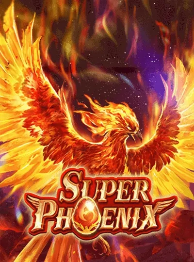 sv555
